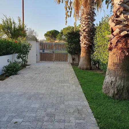 Elisio * 토레 델 로소